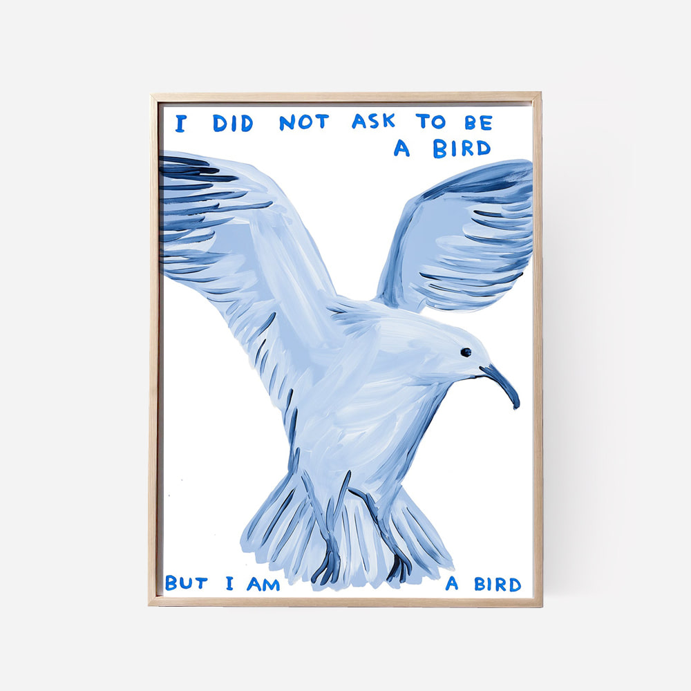 [DAVID SHRIGLEY] I Did Not Ask To Be A Bird
