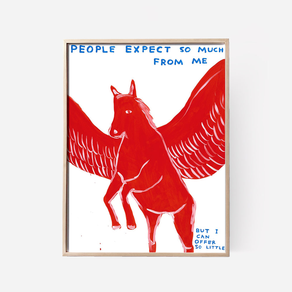 [DAVID SHRIGLEY] People Expect So Much From Me
