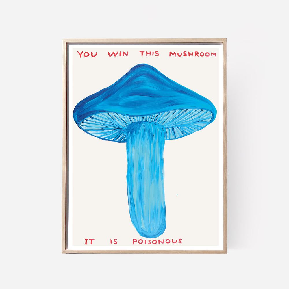 [DAVID SHRIGLEY] You Win This Mushroom